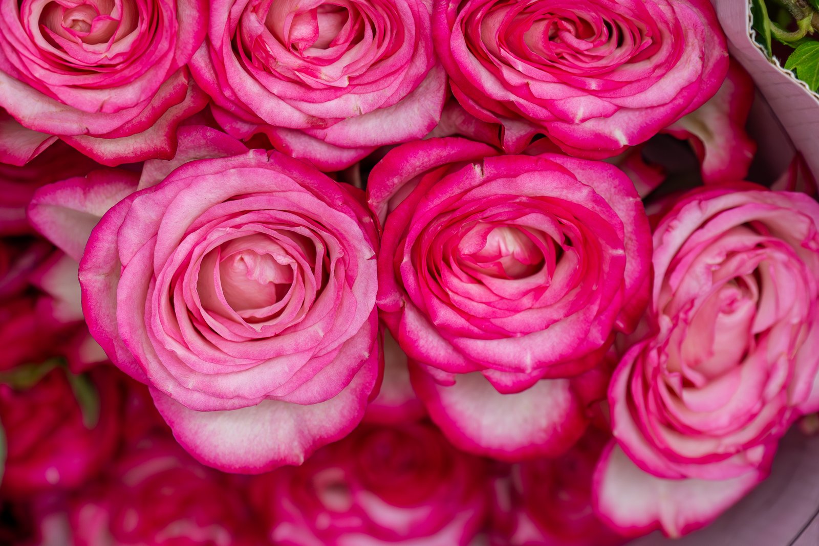 Bouquets Personalizados