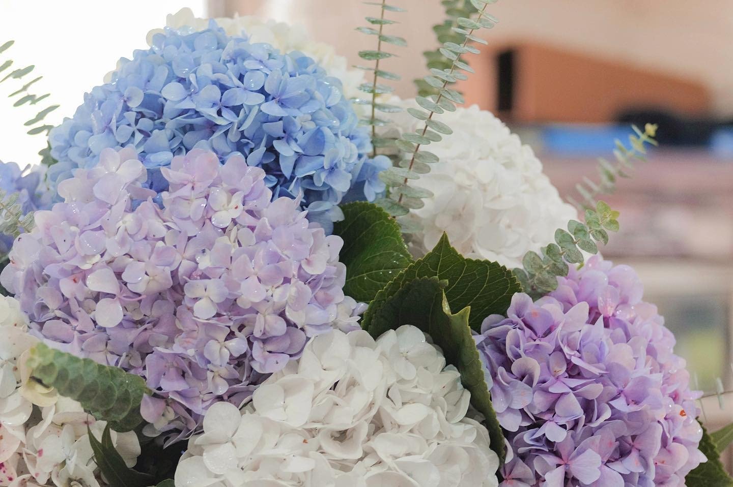 Coordinación de Eventos