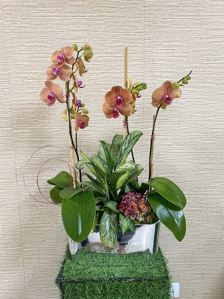 Rocema florísteria 14